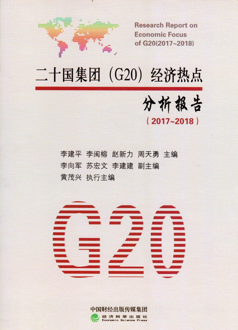 嗯额～宝贝儿～你的水好多啊～二十国集团（G20）经济热点分析报告（2017-2018）